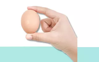 Reemplazos