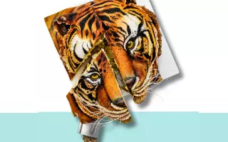Tigre