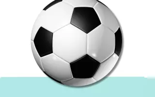 Torta pelota